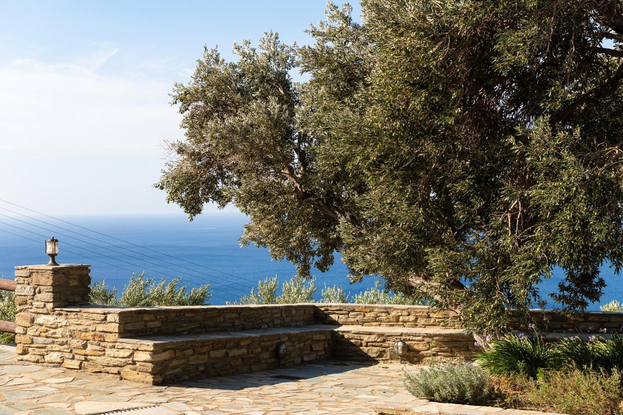 Andros Serenity Retreat - Adults Only Episkopion  外观 照片